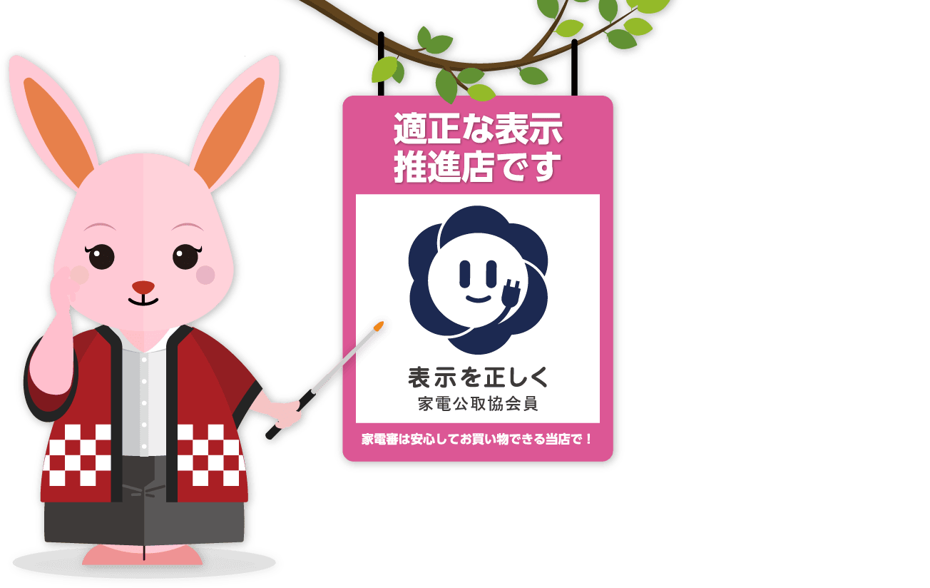 適正な表示推進店です 表示を正しく家電公取協会員 家電審は安心してお買い物できる当店で！